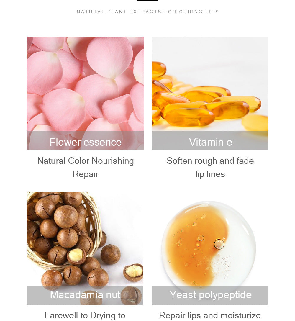 Fit Colors Mini Capsule Lip Gloss Moisturizing Moisturizing Transparent Color Changing Projectile Lip Gloss Oil