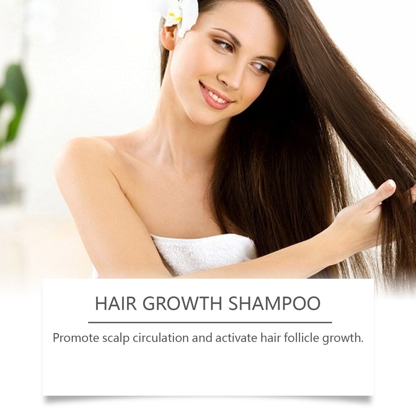 Hoegoa Shampoo Gentle Shampoo Oil Control Anti-Dandruff Fluffy Soft Cleansing Scalp Shampoo