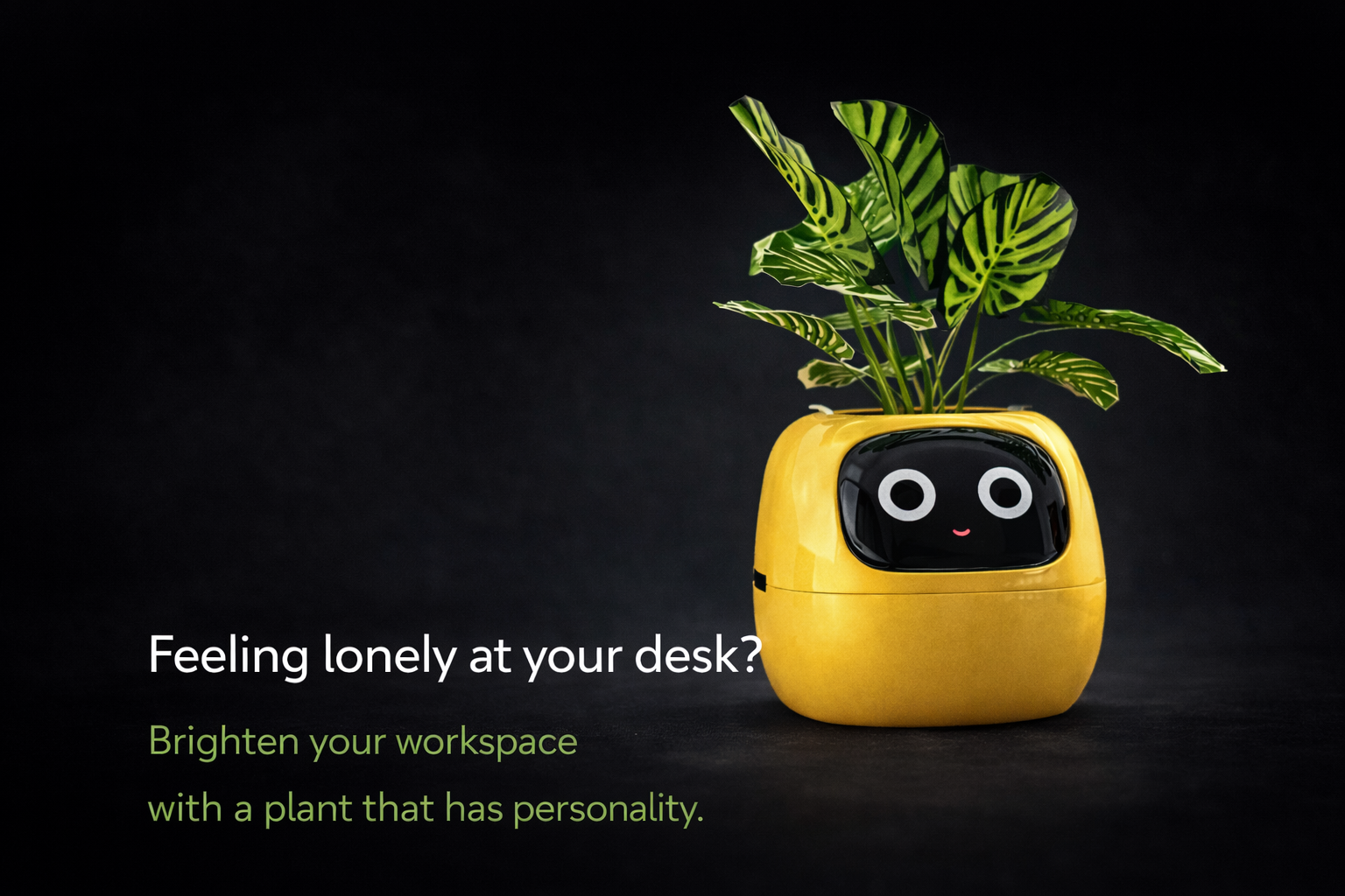 Why Everyone Is Talking About Smart Planters (And Why You’ll Want One Too) 🌱🤖
