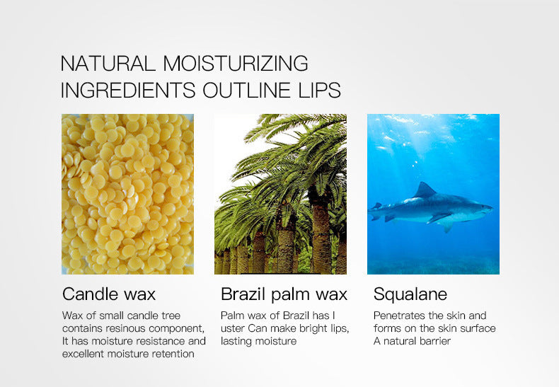 Pudaier twelve-color lip liner