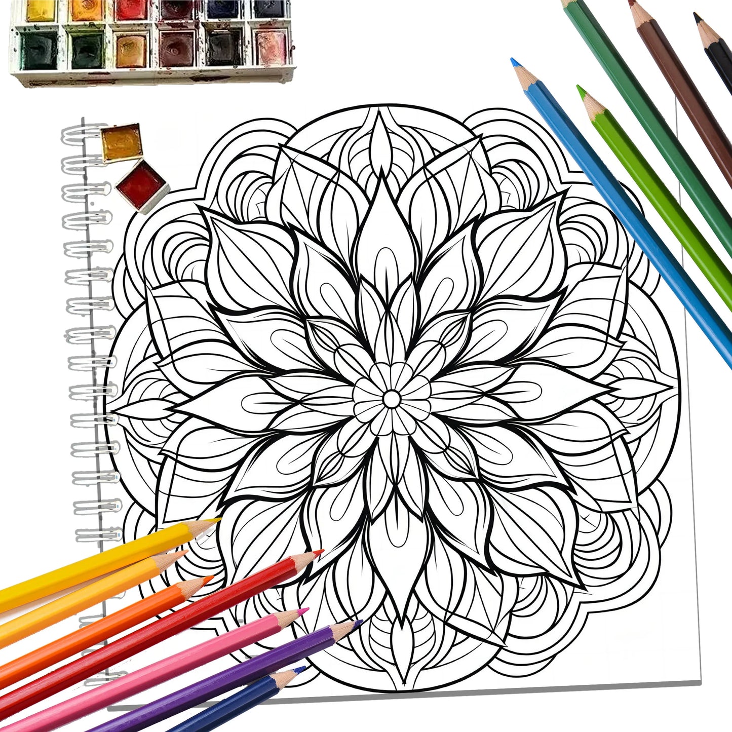 Art Coloring Book 2 PCS