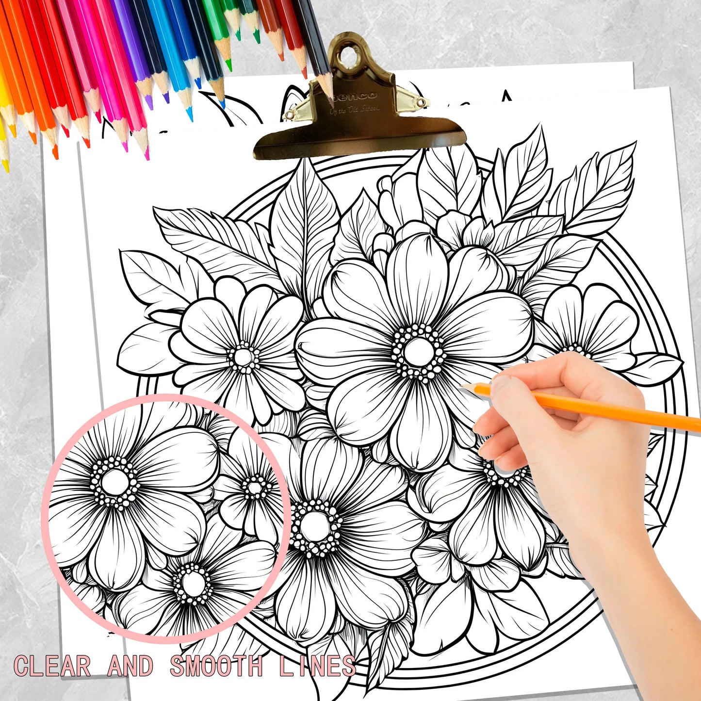 Art Coloring Book 2 PCS